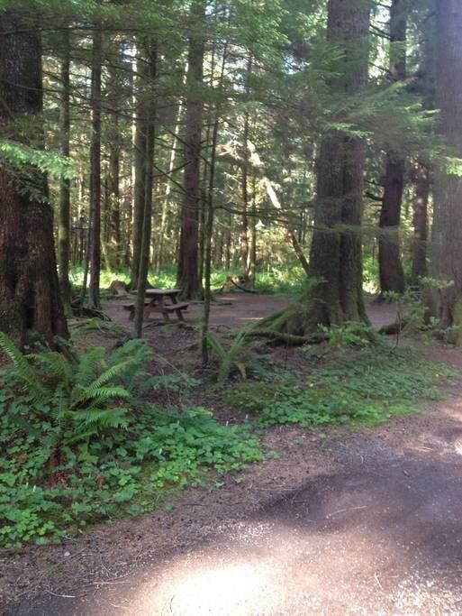 Three Rivers Resort Forks Esterno foto